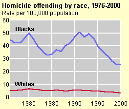 Homicide offenders by race